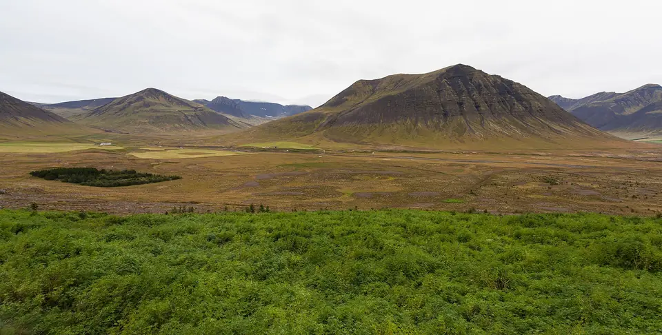 Landskap ved Þingeyri og Dýrafjörður